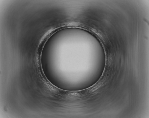 X0000097501454200802291548