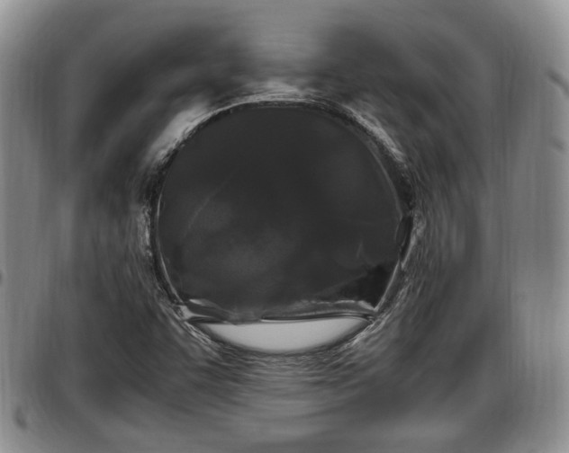X0000097501455200802291548