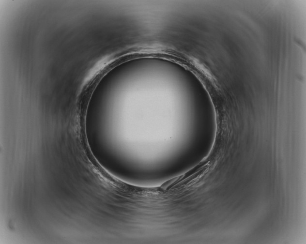X0000097501456200802291548