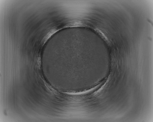 X0000097501457200802291548