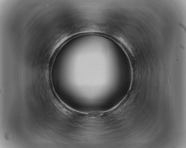 X0000097501460200802291548