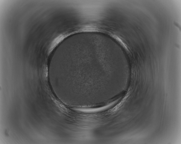 X0000097501461200802291548