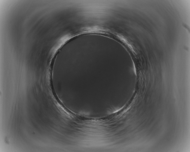 X0000097501463200802291548