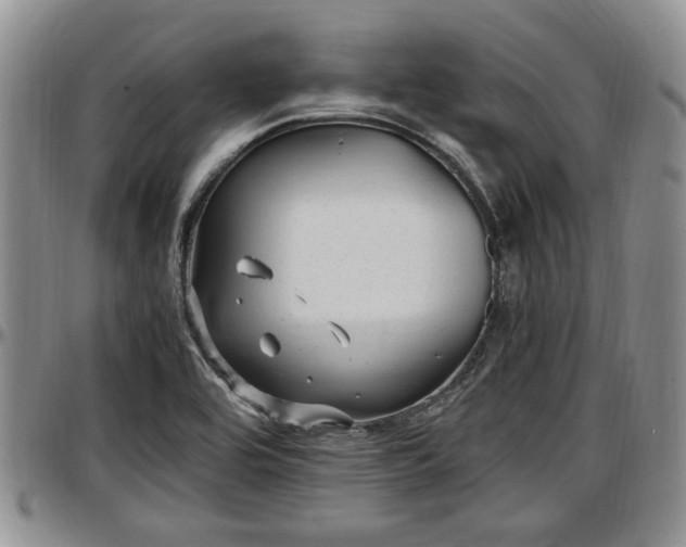 X0000097501464200802291548