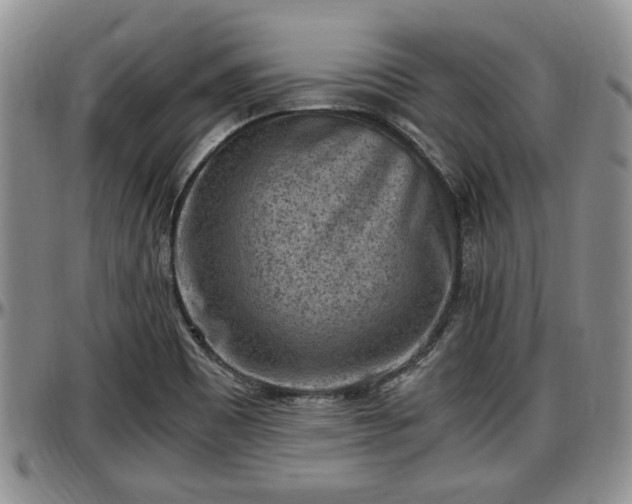 X0000097501465200802291548