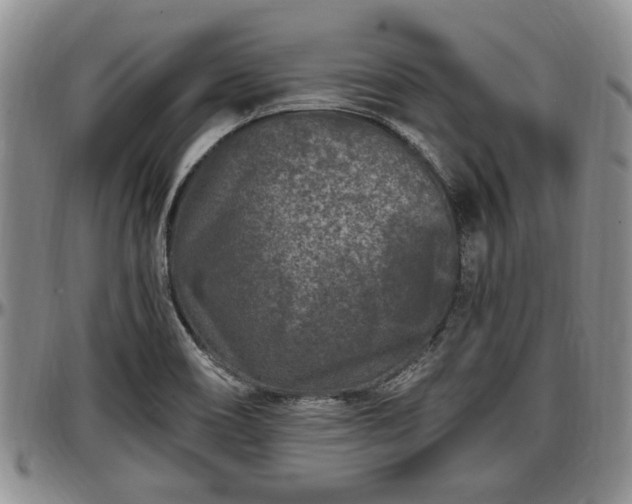 X0000097501466200802291548