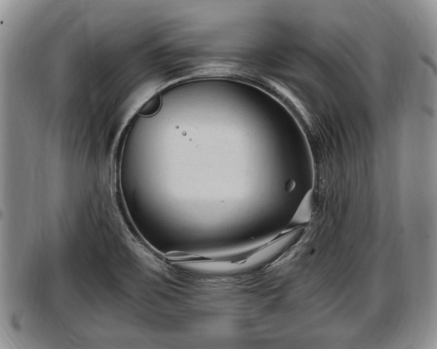 X0000097501467200802291548