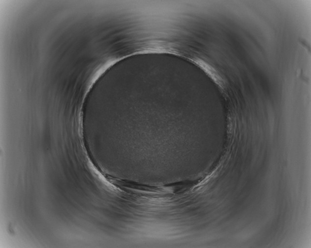 X0000097501468200802291548
