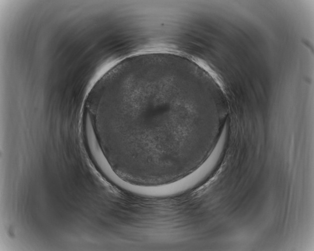 X0000097501469200802291548