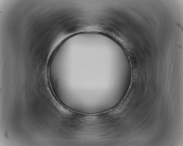 X0000097501470200802291548