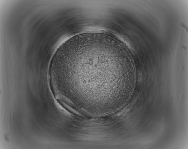 X0000097501471200802291548