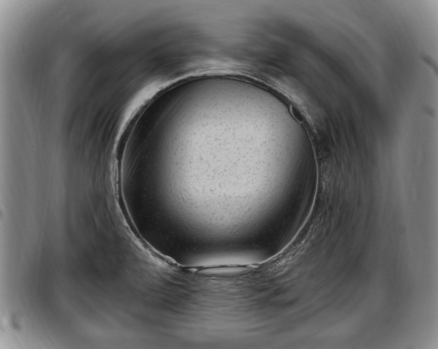 X0000097501472200802291548