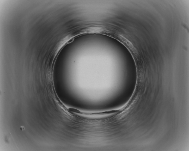 X0000097501473200802291548