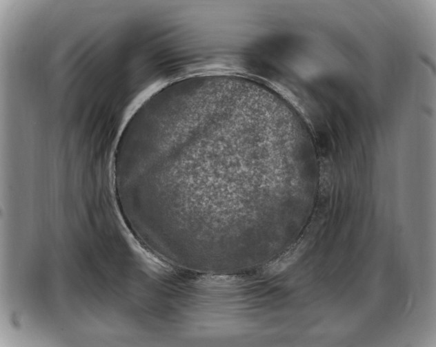 X0000097501474200802291548
