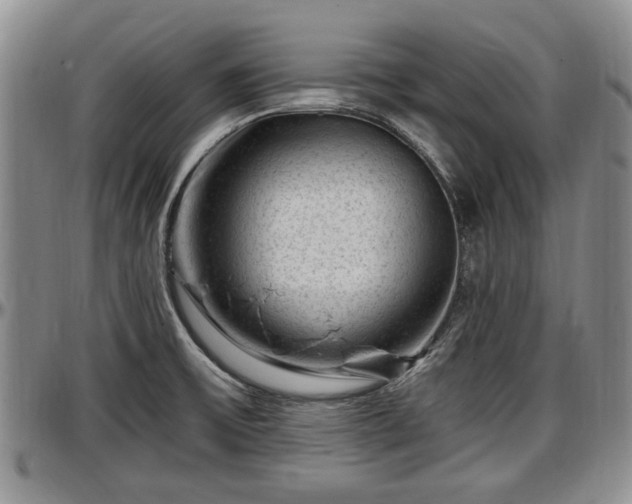 X0000097501475200802291548