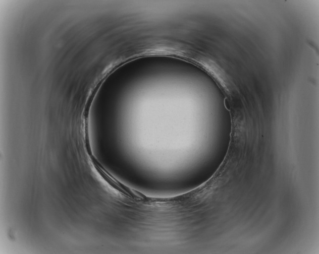 X0000097501476200802291548
