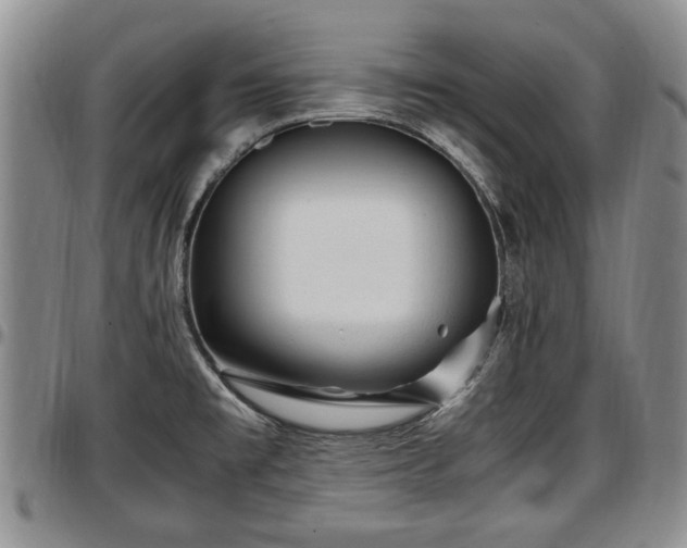 X0000097501477200802291548