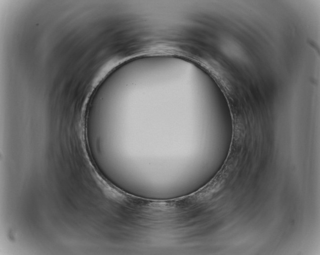 X0000097501478200802291548