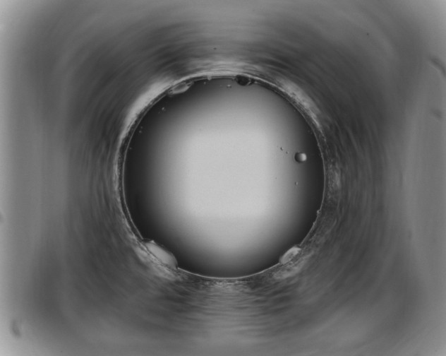 X0000097501480200802291548