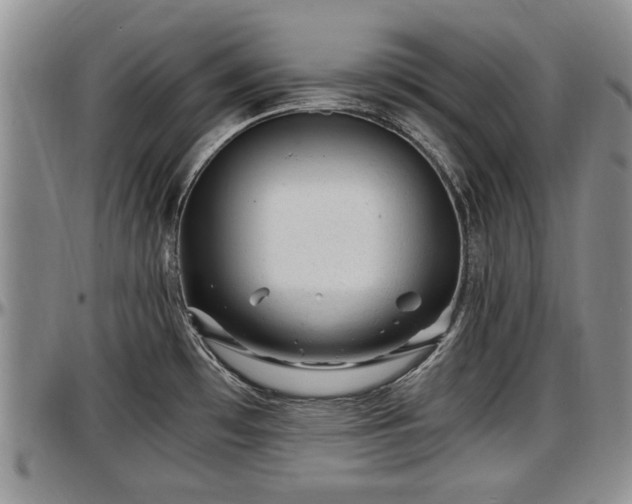 X0000097501481200802291548