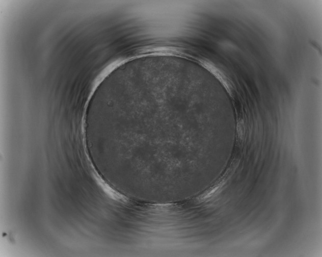 X0000097501482200802291548