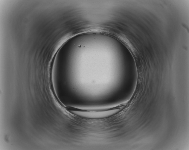 X0000097501483200802291548