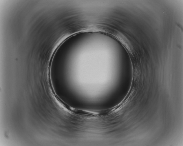 X0000097501484200802291548