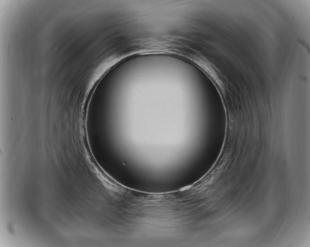 X0000097501485200802291548