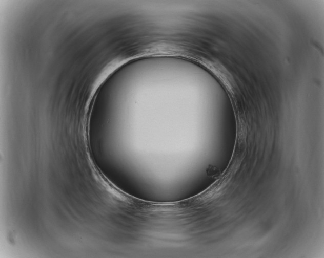 X0000097501486200802291548