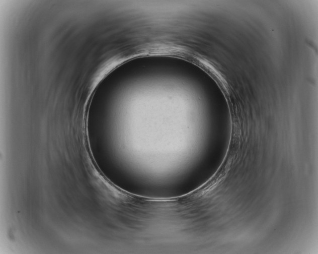 X0000097501487200802291548