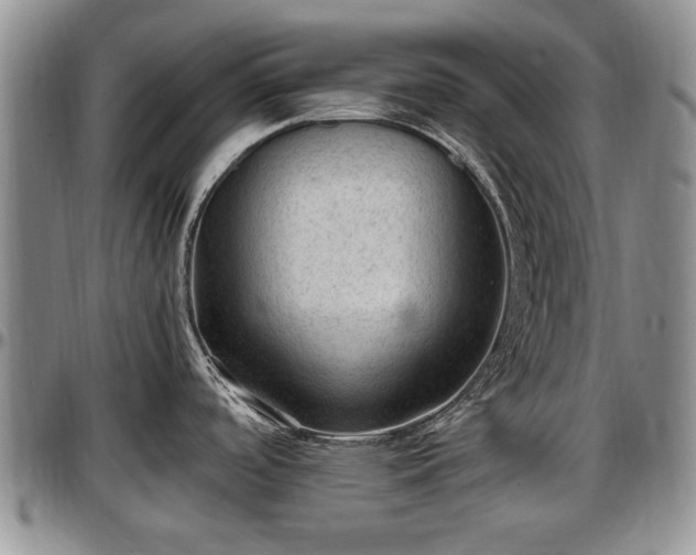 X0000097501488200802291548