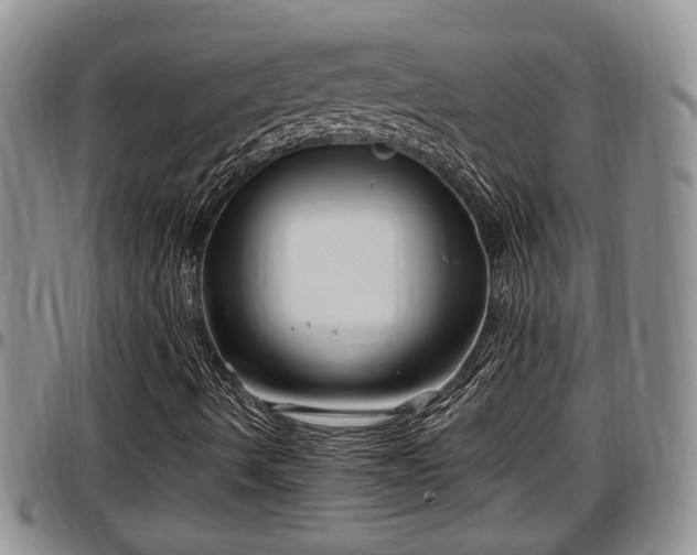 X0000097501490200802291547