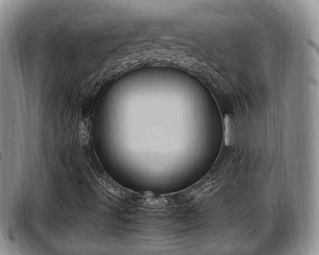 X0000097501491200802291547