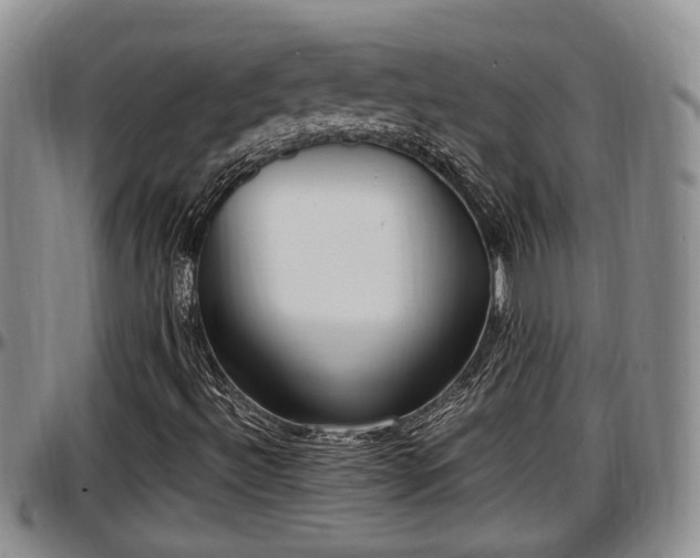 X0000097501492200802291547