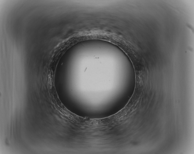 X0000097501493200802291547