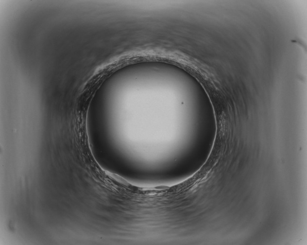 X0000097501494200802291547