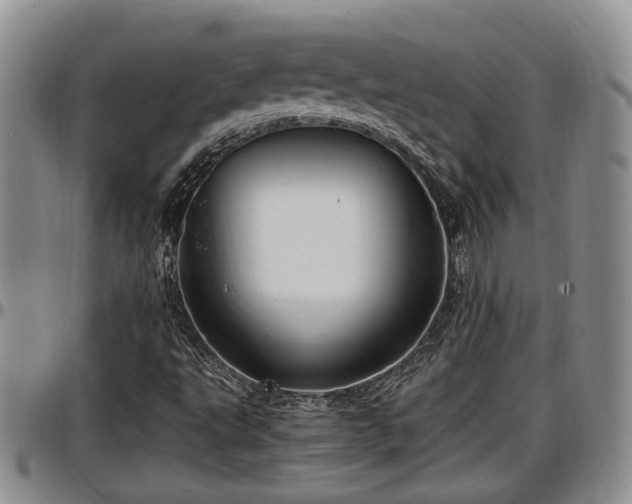 X0000097501495200802291547