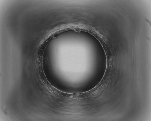 X0000097501496200802291547