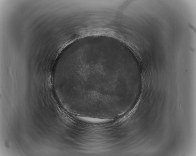 X0000097501497200802291547