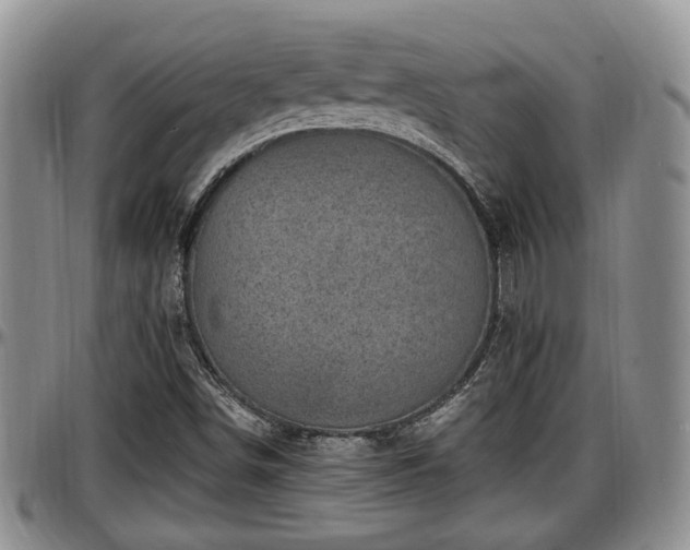 X0000097501498200802291547