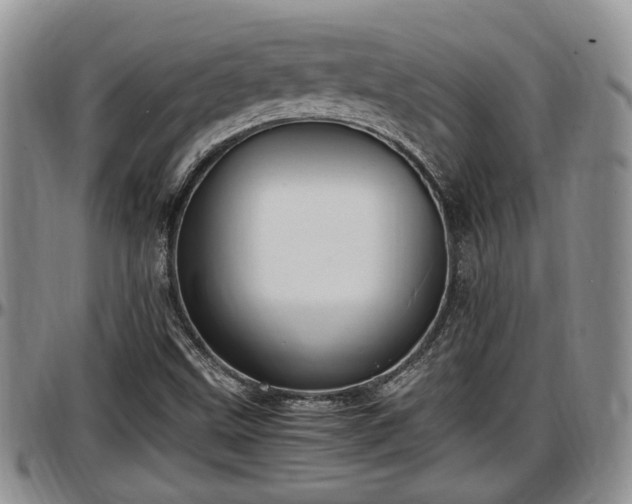X0000097501499200802291547