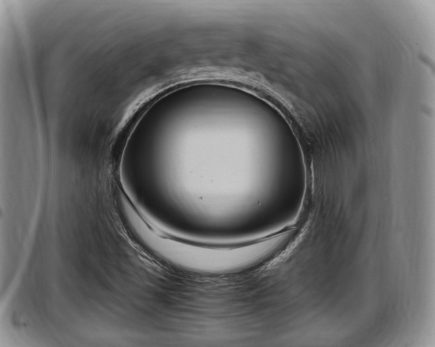 X0000097501501200802291547
