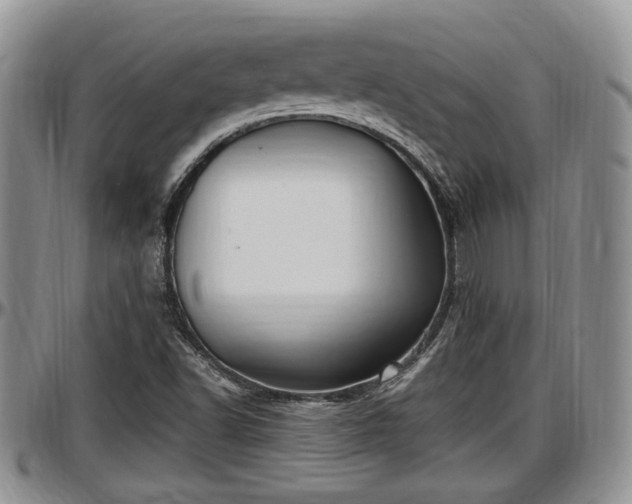 X0000097501502200802291547