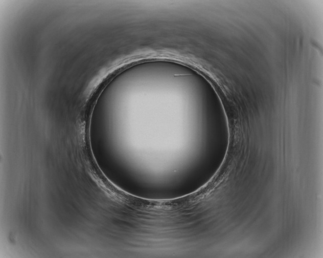 X0000097501503200802291547