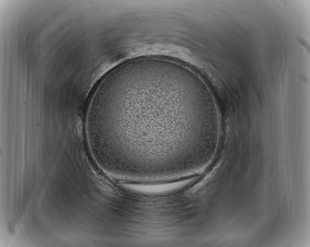 X0000097501505200802291547