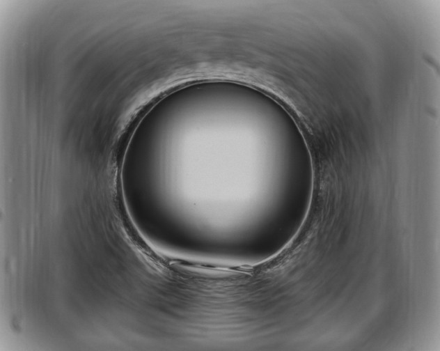 X0000097501507200802291547