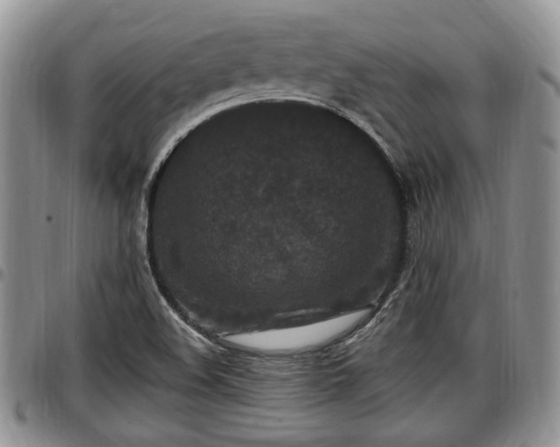 X0000097501508200802291547