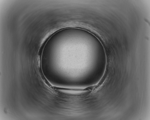 X0000097501509200802291547