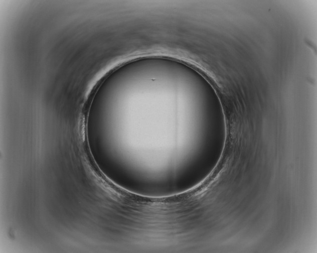 X0000097501510200802291547