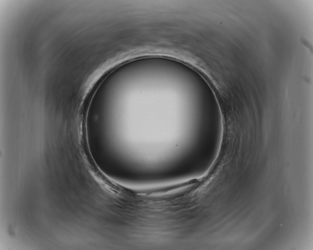 X0000097501511200802291547